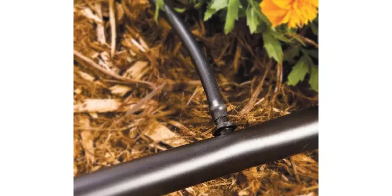 13e73fe184bc1256a6611d35890c8869