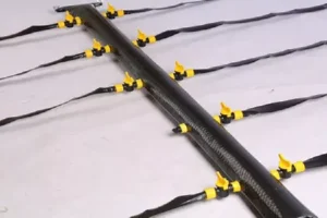 1719926991_296A8385-scaled_11zon