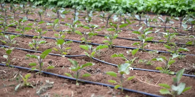 1OsVpsGFxjshVuXOJVt2-6ATbr6j2fvf