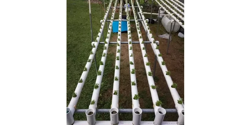 d63e731a26907683710cc9ab8b4de245