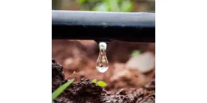 d8c816b5ff7639a28eb414960e7cd95e